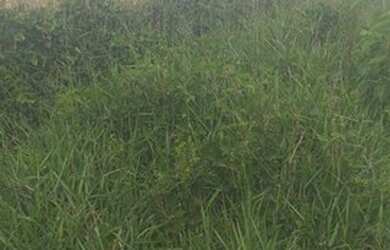 Imagem 1: São João Del Rei - Loteamento/Condomínio - Vila Belizário