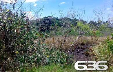 Imagem 9: Terreno Balneário Barra do Sul Pinheiros