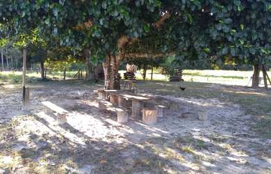 Imagem 14: Chácara com igarapé. 32.000m² de Área