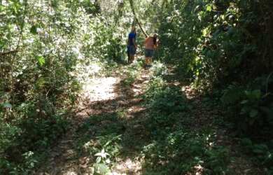 Imagem 16: Linda Fazenda para venda - 25 Alqueires - Lambari - Gonçalves - MG