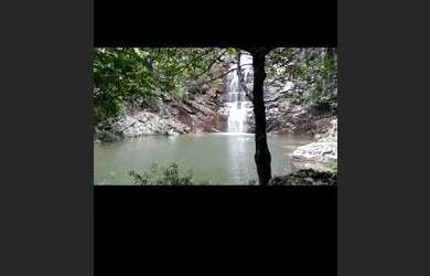 Imagem 10: Chácara. 8.000m² de Área