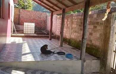 Imagem: A casa possui 3 Dormitórios, 2 Banheiros, 3 Vagas na garagem