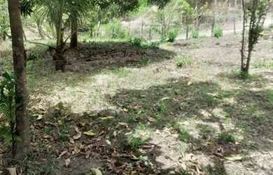 Imagem: A chácara possui 2.000m² de Área, Churrasqueira e está