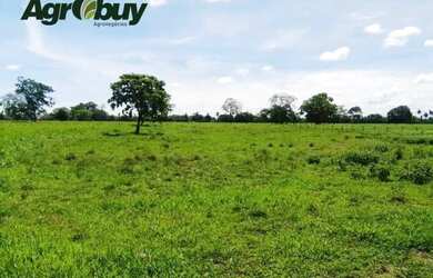 Imagem: A fazenda possui 10m² de Área e está localizado em Centro