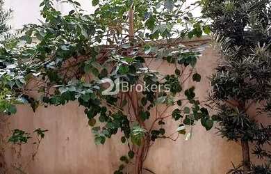 Imagem 16: Apartamento garden com 3 quartos à venda, 200m² - Alto da Boa Vista