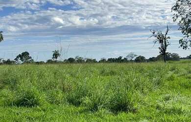 Imagem 11: Fazenda com 1.433 Hectares - IACIARA - GO -R$. 42 Milhões