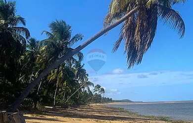 Imagem 16: Incrível terreno em Tatuamunha santuario do Peixe Boi