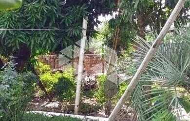 Imagem 4: Casa Localizada Em Rua Asfaltada