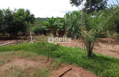 Imagem 3: Chácara Residencial disponível para Venda no bairro Área Rural em Uberlândia-MG