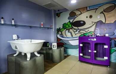 Imagem: O depósito está localizado em Jardim Infante Dom Henrique