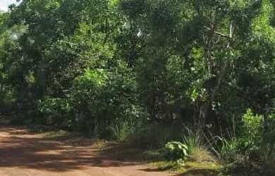 Imagem: O terreno possui 2.500m² de Área e está localizado em Área