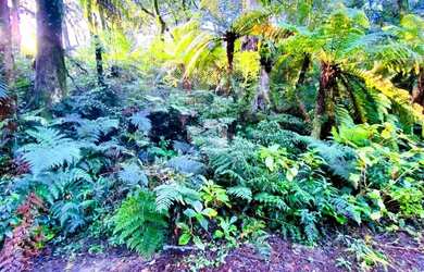 Imagem 3: A venda terreno de 7.620m², localizado em Canela