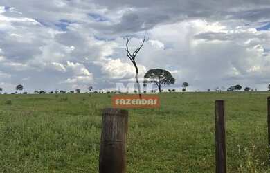 Imagem 10: Fazenda 403 Alqueires 1.950 hectares Aparecia do Rio Doce - GO