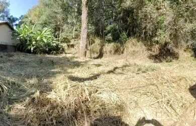 Imagem 8: AREA - CITY AMÉRICA - SP