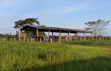 Imagem 6: 62 alqueires no Pará a ,zap R$ 2.500.000,00