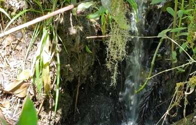Imagem: O terreno possui 20000m² de Área e está localizado em Urubici