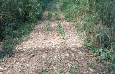 Imagem 15: Linda Fazenda para venda - 25 Alqueires - Lambari - Gonçalves - MG