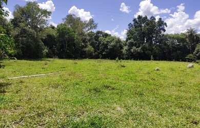 Imagem 5: Fazenda Fazendinha 19 Hectares, 16 Hectares. FLORESTA MG