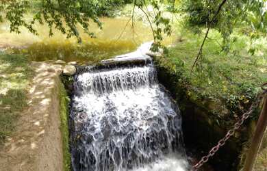 Imagem 16: A RC IMÓVEIS VENDE MARAVILHOSA FAZENDA DE 30 HA EM PETRÓPOLIS - RJ