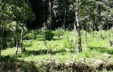 Imagem 5: Sítio em Igrejinha RS. 5.000m² de Área