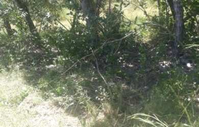 Imagem 7: Fazenda de 96,80 hectares - Município de Flores Goiás