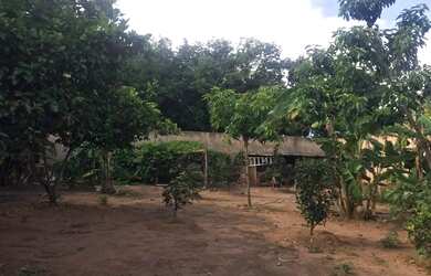 Imagem: A fazenda possui 234m² de Área e está localizado em Morada