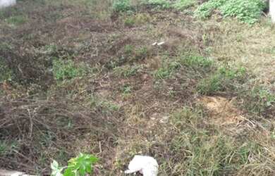 Imagem: O terreno à venda possui e está localizado em Pio Xii, São