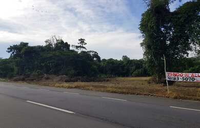 Imagem 7: Rodovia Am 070 - Manoel Urbano