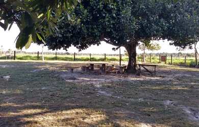 Imagem 8: Chácara com igarapé. 32.000m² de Área