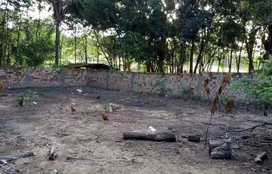 Imagem 11: Vende-se uma chácara. 3.000m² de Área