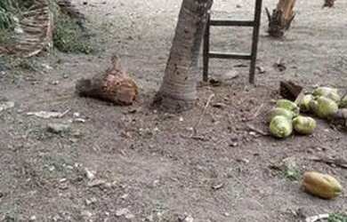 Imagem 1: Terreno por 45 mil. 