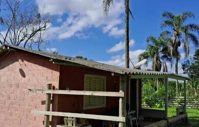 Imagem 10: Super chacrinha 157 mil reais teteinha