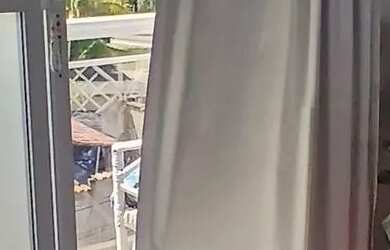 Imagem: A casa possui 3 Dormitórios, 2 Banheiros, 60m² de Área e