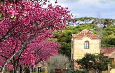 Imagem 15: Terreno à venda em Canela no Condomínio Reserva da Serra