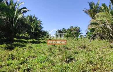 Imagem 6: Fazenda 403 Alqueires 1.950 hectares Aparecia do Rio Doce - GO