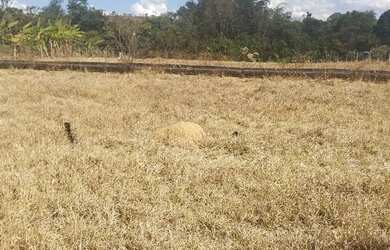 Imagem 9: Venda de lote. 3.500m² de Área