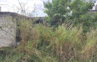 Imagem 2: São Paulo - Terreno Padrão - Jardim Triana