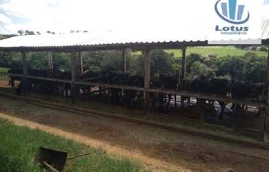 Imagem 15: Fazenda à venda, 6500000 m² por R$ 35.000.000,00 - Zona Rural - Minduri/MG