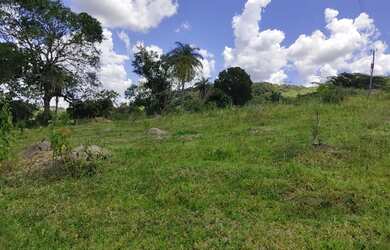 Imagem 3: Fazenda Fazendinha 19 Hectares, 16 Hectares. FLORESTA MG