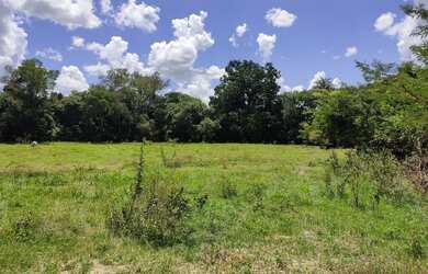 Imagem 15: Fazenda Fazendinha 19 Hectares, 16 Hectares. FLORESTA MG