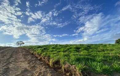 Imagem: O terreno e possui Dormitórios, Suítes, Banheiros, 500-0m²