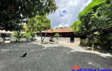 Imagem: A fazenda está localizado em Gurupi, Teresina à venda por