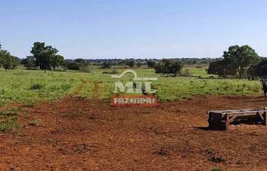 Imagem 5: Fazenda 403 Alqueires 1.950 hectares Aparecia do Rio Doce - GO