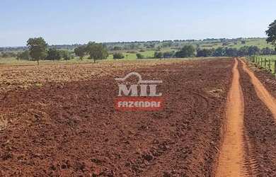 Imagem 11: Fazenda 403 Alqueires 1.950 hectares Aparecia do Rio Doce - GO