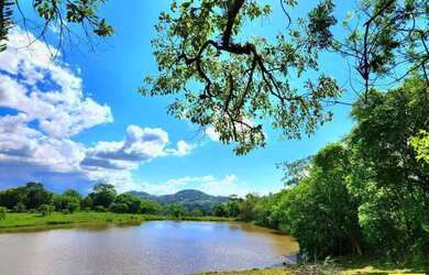 Imagem 7: Sítio / Chácara para Venda em Linha Nova, Linha Nova