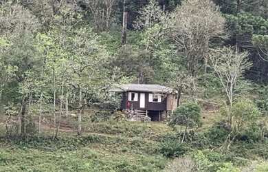 Imagem 2: Sítio / Chácara para Venda em Nova Petrópolis, Linha Pirajá Baixa,...