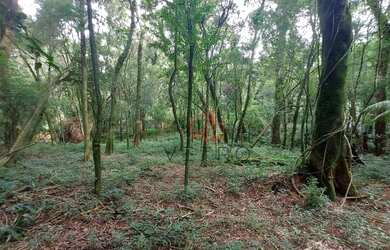 Imagem 6: Terreno à Venda em Canela