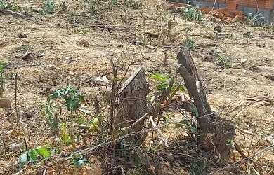 Imagem 4: Vende se lote 180m. 180m² de Área