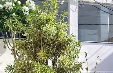 Imagem: A casa possui 1 Dormitório, 1 Banheiro, 80m² de Área e está