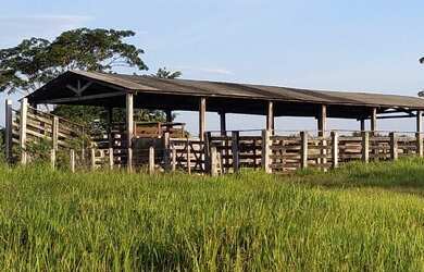 Imagem: A fazenda possui 300000m² de Área e está localizado em Castanhal